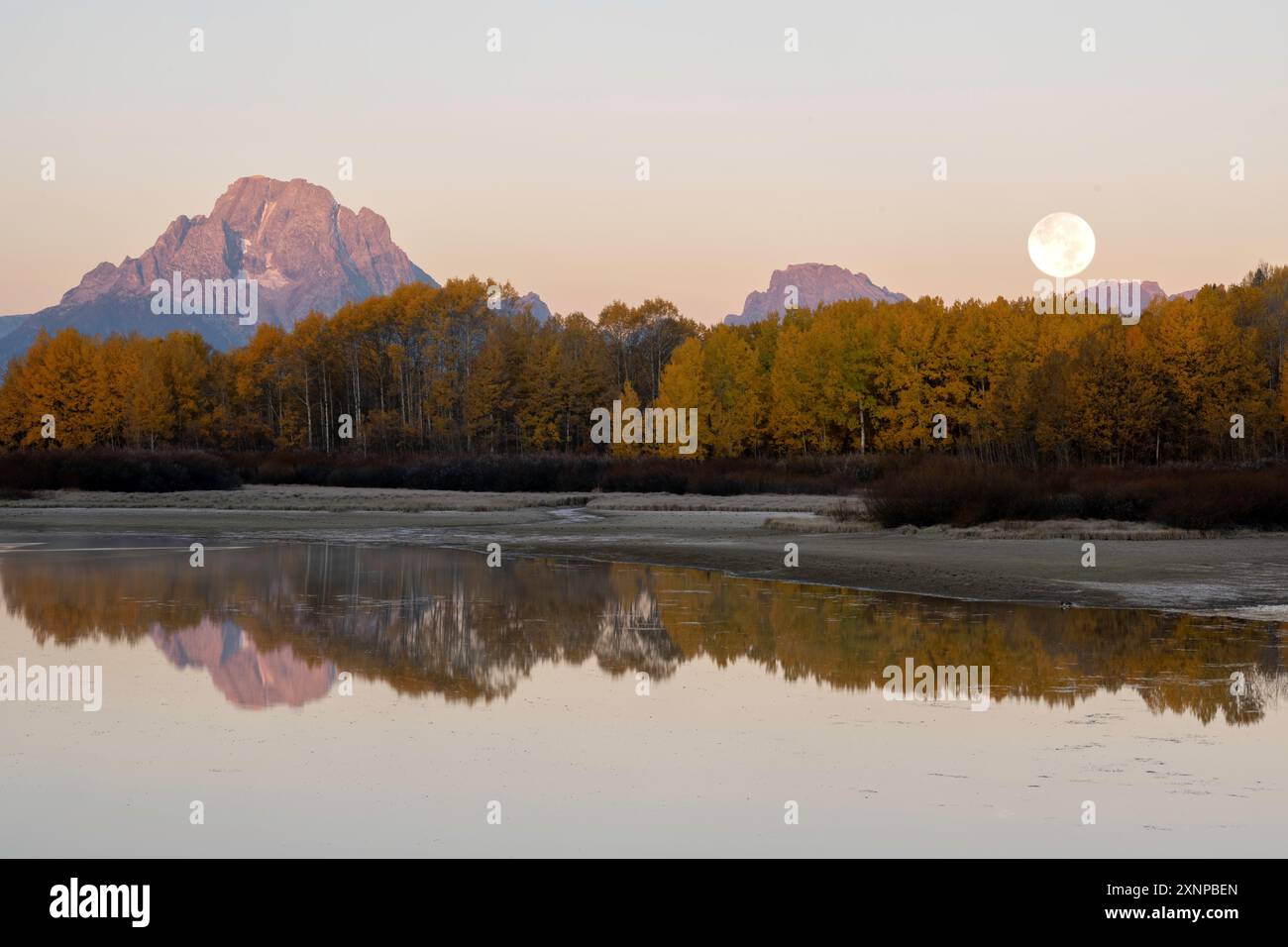 Herbstfarbe im Oxbow Bend, Grand Teton National Park, Wyoming Stockfoto