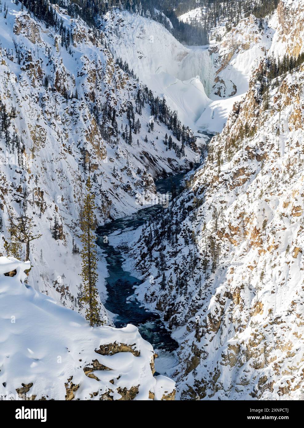 Lower Falls, Grand Canyon des Yellowstone-Nationalparks, im Winter Wyoming, USA Stockfoto