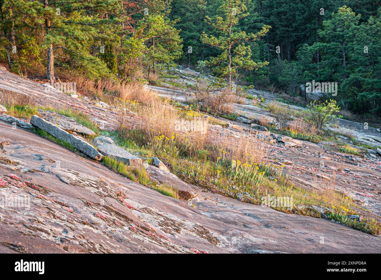 Malerisches Stone Mountain-Gelände bei Sonnenuntergang in der Nähe von Atlanta, Georgia, im Stone Mountain Park. (USA) Stockfoto