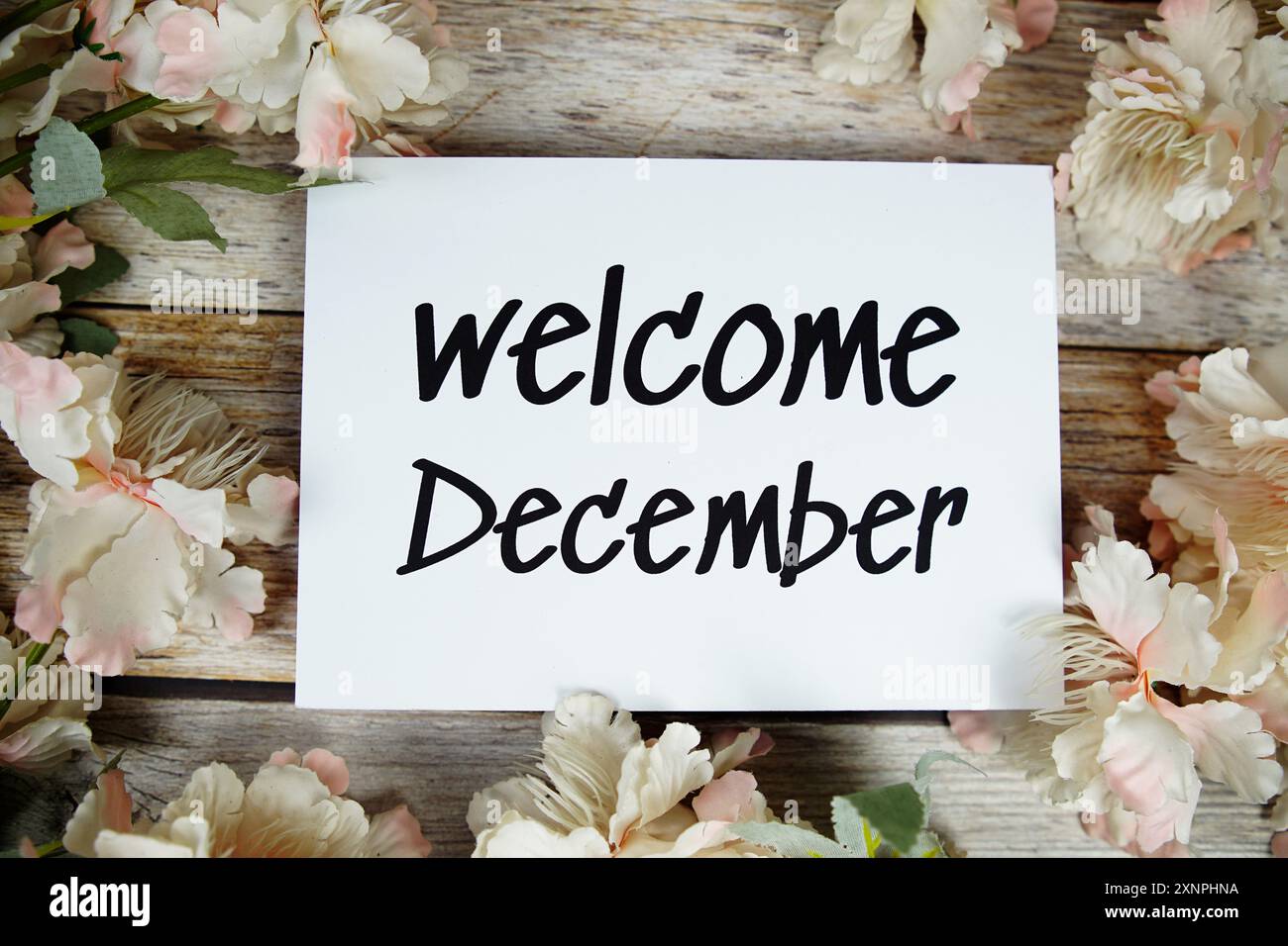 Begrüßungstext im Dezember auf Papierkarte mit Blumenrahmen von oben auf hölzernem Hintergrund Stockfoto