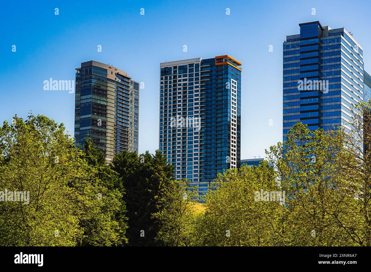 GEBÄUDE IN DER INNENSTADT VON BELLEVUE MIT LAUB IM VORDERGRUND UND KLAREM BLAUEM HIMMEL Stockfoto