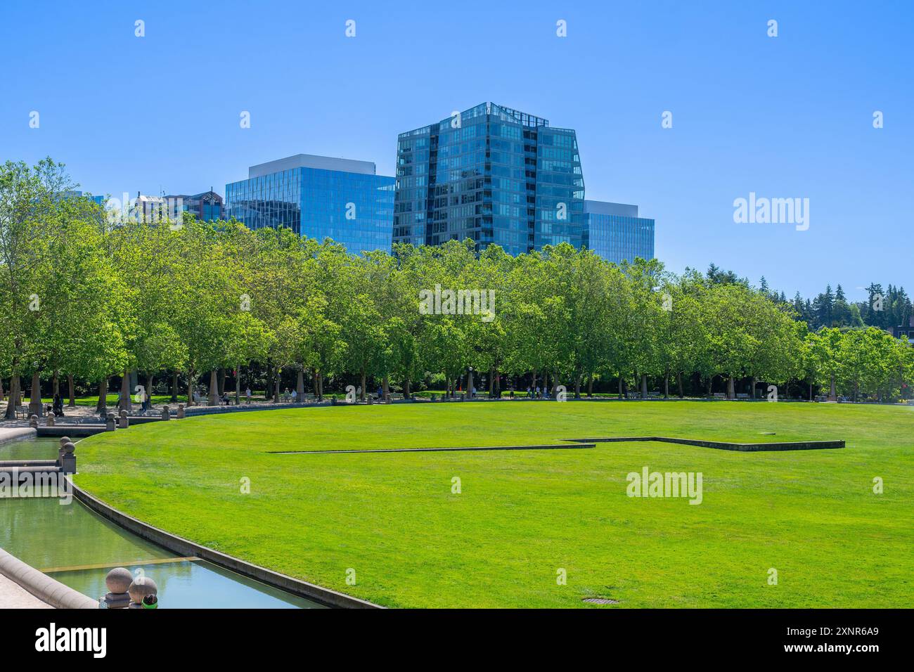 GEBÄUDE IN DER INNENSTADT VON BELLEVUE MIT LAUB IM VORDERBODEN UND EINEM KLAREN BLAUEN HIMMEL AUS DEM STADTZENTRUM VON BELLEVUE CITY PARK Stockfoto