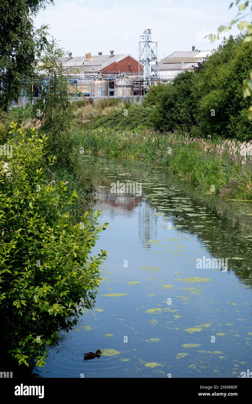 Walsall Canal von Belper Bridge, Greets Green, West Bromwich, Sandwell, West Midlands, England, Großbritannien Stockfoto