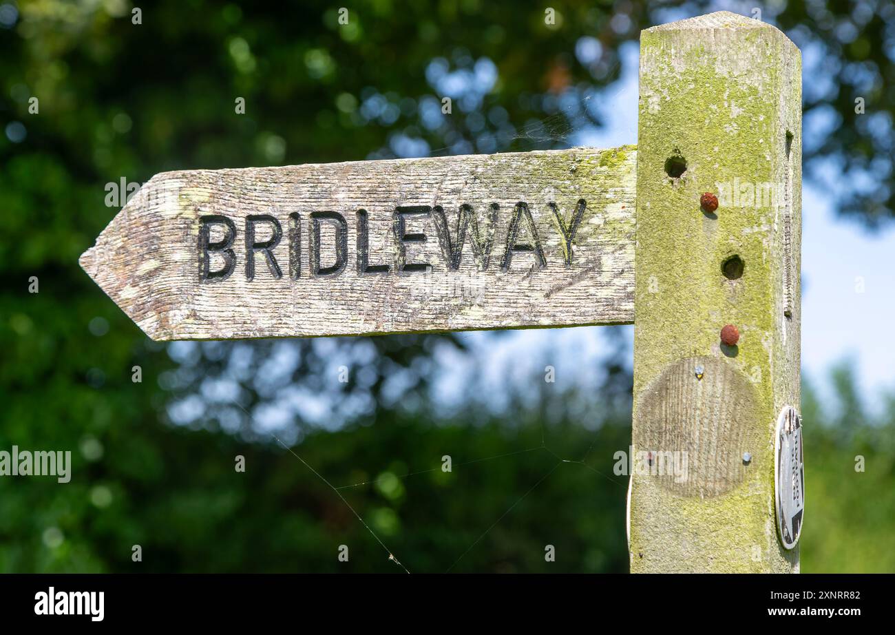 Nahaufnahme hölzernes Brückenschild Richtung Pfeil Pointer, Sutton, Suffolk, England, Großbritannien Stockfoto