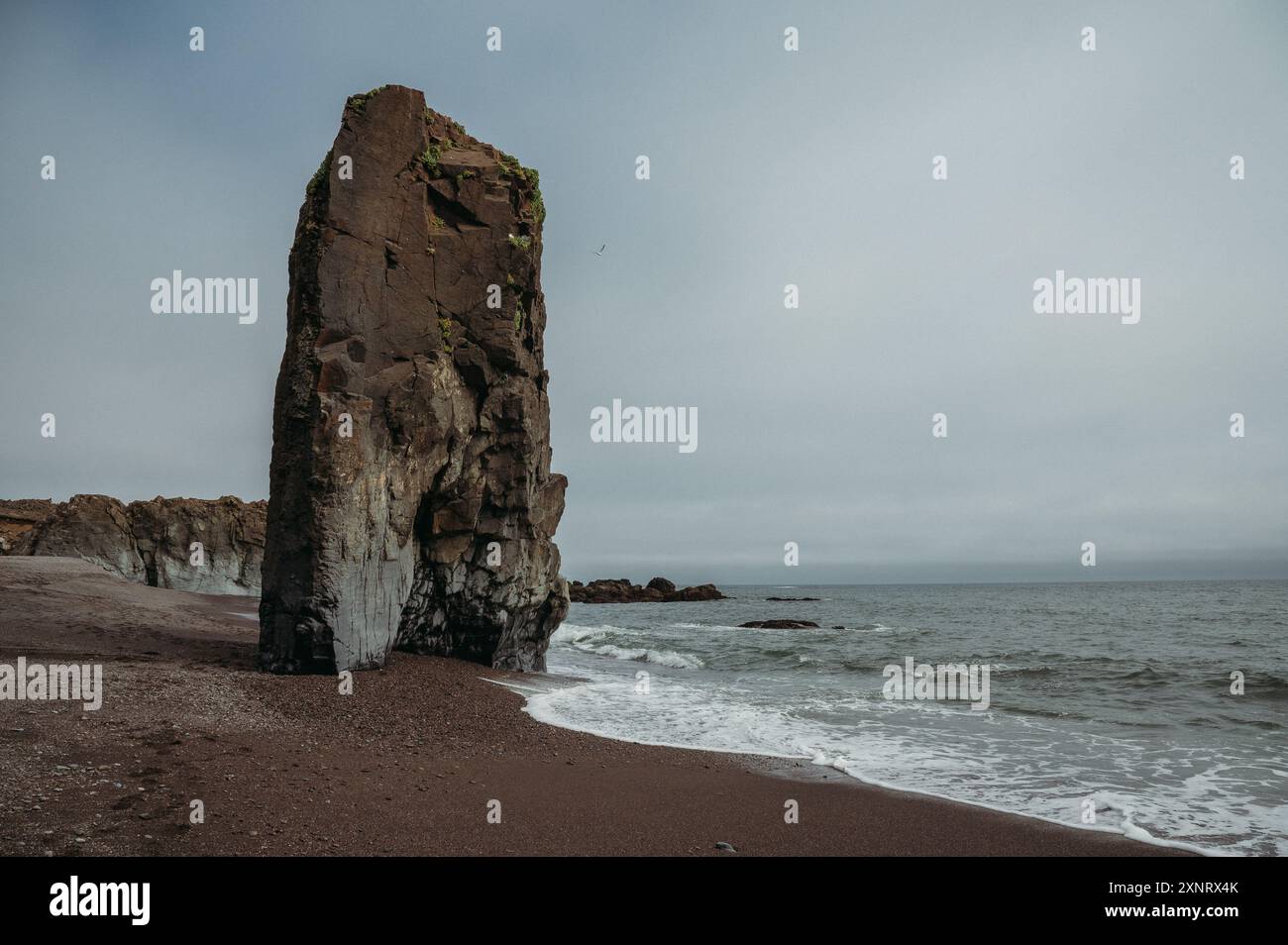 Lækjavik schwarzer Sandstrand, Island mit hoch aufragender Felsformation Stockfoto