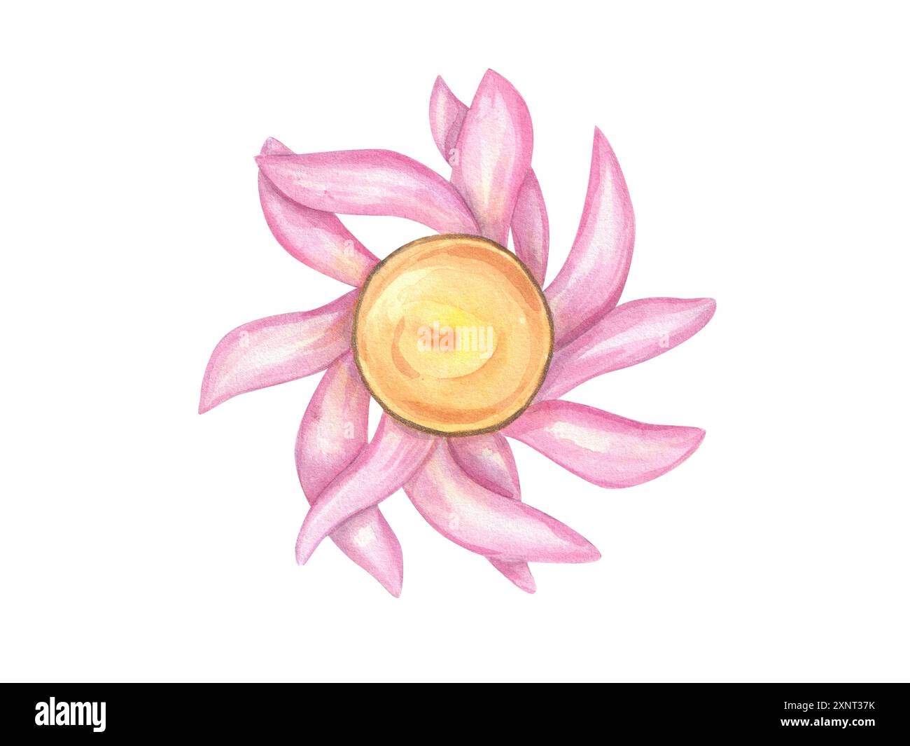 Diya Kerze in Form von Lotusblüte. Seerose. Rosafarbene Blüten mit leuchtend gelbem Zentrum. Diwali brennende Lampe. Draufsicht auf religiöses Symbol. Stockfoto