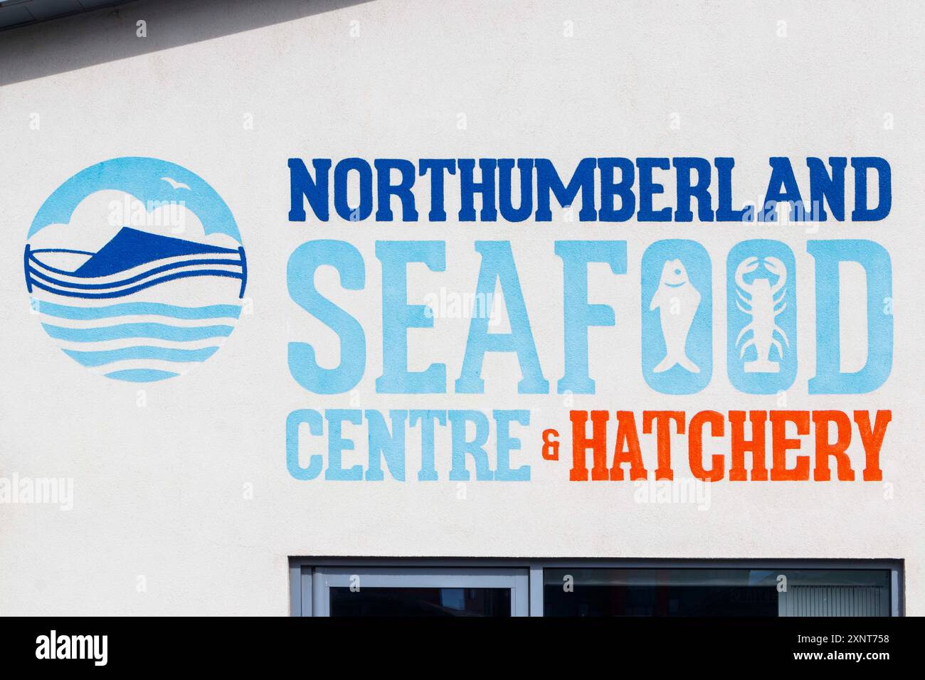 Schild an der Wand für das morthumberland Seafood Centre und die Brüterei in Northumberland UK Stockfoto