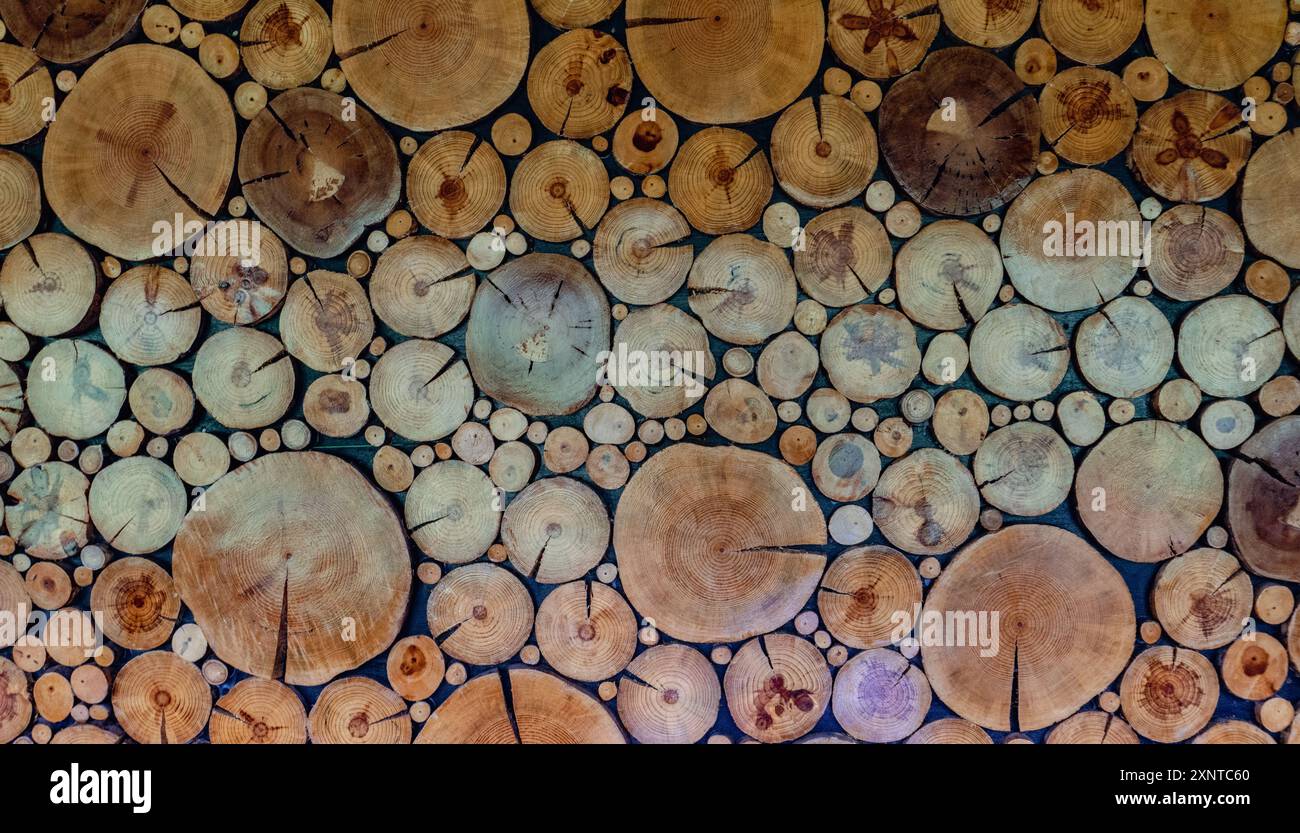 Künstlerische Tapete aus recycelten abgeschnittenen Baumstämmen, die zu einem Skulpturendesign aus einer Holzfabrik in Uttarakhand, Indien, hergestellt wurden. Stockfoto