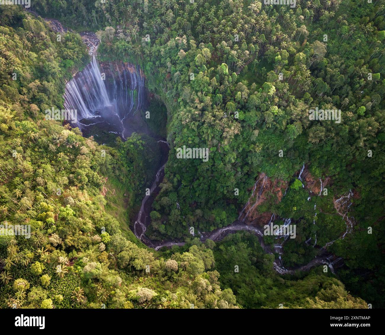 Blick von oben auf den Tumpak Sewu Wasserfall in Malang, Ost-Java, Indonesien Stockfoto