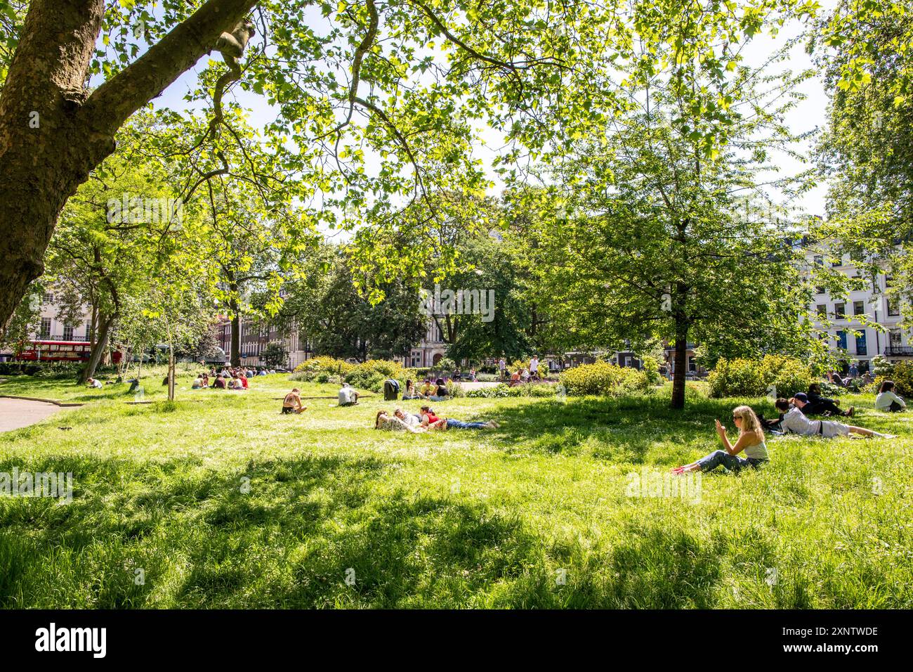 Menschen in Bloomsbury Square Gardens im Sommer London Großbritannien Stockfoto