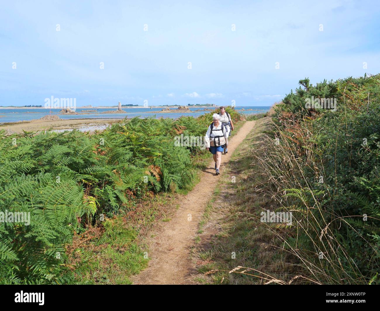 Bretagne. Rund um Pleubian in der Cotes d'Armor, entlang des GR34, dem berühmten Zollbeamten-Pfad. BRETAGNE, BRETON, WESTFRANKREICH, LANDSCHAFT, MEER, MEER, STRAND, URLAUB, URLAUB, FREIZEIT, TOURISMUS, TOURIST, REISENDE, URLAUB, WANDERN, WANDERER , WANDERN, TREKKING, BESUCH, ZOLLWEG, KÜSTENWEG, WETTER, STADT, MEERESSTATION, STRAND, BOOT, BARQUE, BOOT, SCHIFF, Credit:MHRC/Photo12 Stockfoto