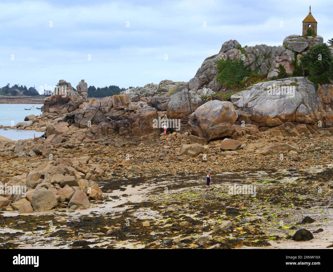 Bretagne. Pointe du Chateau in der Stadt Plougrescant in der Cotes d'Armor, entlang der GR34, dem berühmten Zollbeamten-Pfad. BRETAGNE, BRETON, WESTFRANKREICH, LANDSCHAFT, MEER, MEER, STRAND, URLAUB, URLAUB, FREIZEIT, TOURISMUS, TOURIST, REISENDE, URLAUB, WANDERN, WANDERER , WANDERN, TREKKING, BESUCH, ZOLLWEG, KÜSTENWEG, WETTER, STADT, MEERESSTATION, FELSEN, VIPERS, VIPER, Kredit:MHRC/Photo12 Stockfoto