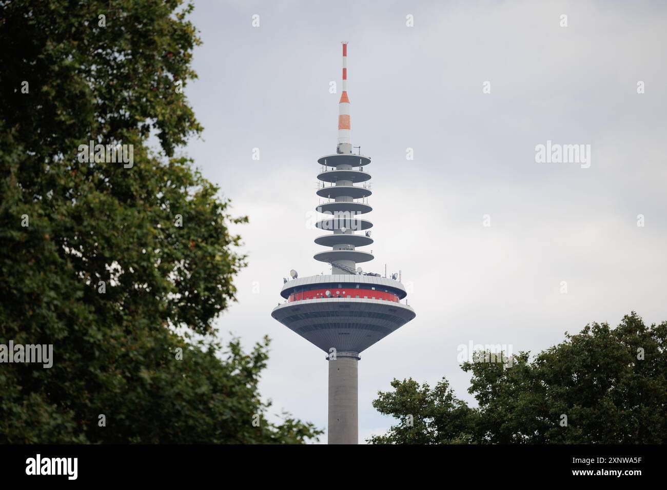 PRODUKTION - 02. August 2024, Hessen, Frankfurt/M.: Blick auf den Frankfurter Fernsehturm, bekannt als Europaturm oder Ginnheimer Spargel. Der Aufzugshersteller Schindler nutzt sie, um verschiedene Komponenten seiner Aufzüge zu testen. Foto: Lando Hass/dpa Credit: dpa Picture Alliance/Alamy Live News Stockfoto