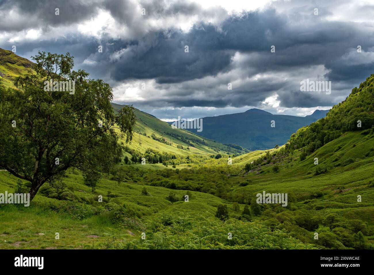 Ländliche Landschaft mit Green Valley in der Nähe von Glencoe in Schottland, Großbritannien Stockfoto