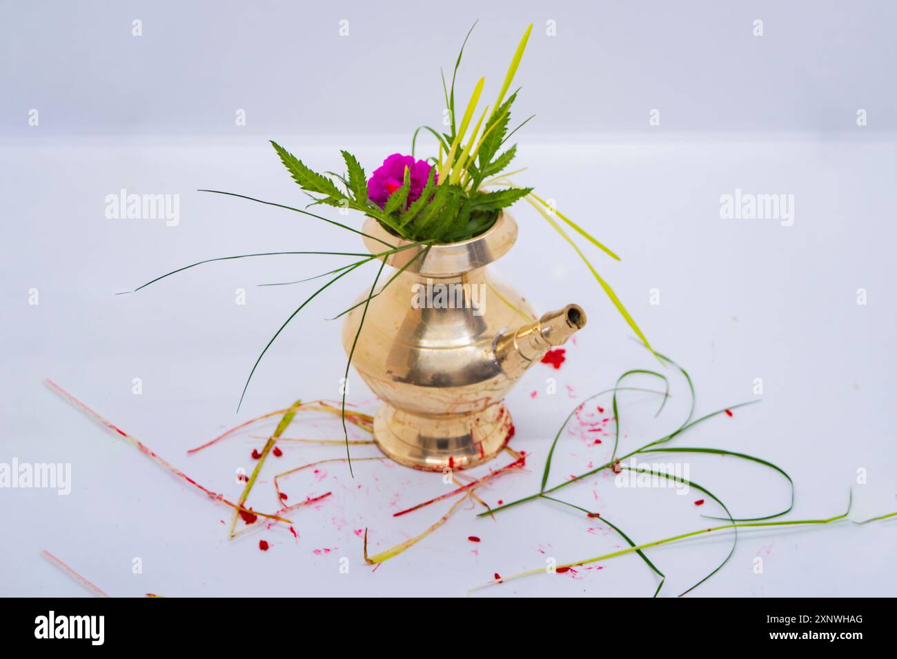 Kalash mit Blumen, Gerstenblättern Jamara, Cynodon Dactylon und Abika für durga puja Dashain Stockfoto