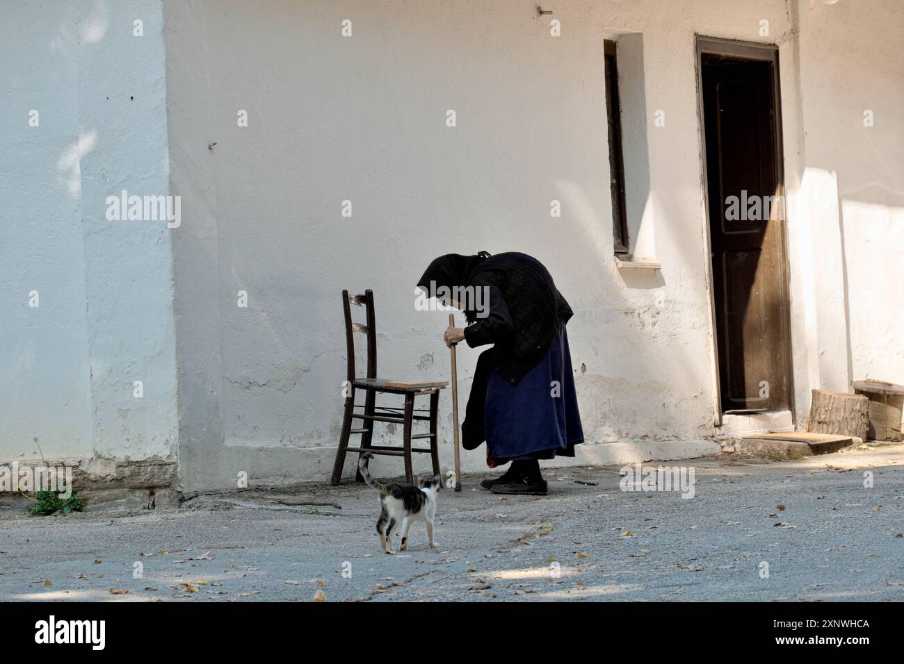Eine hundertjährige Frau sitzt auf einem alten Stuhl, um sich auszuruhen, eine Katze nähert sich ihr, Kloster Vracevsnica, Gornji Milanovac, Zentralserbien Stockfoto