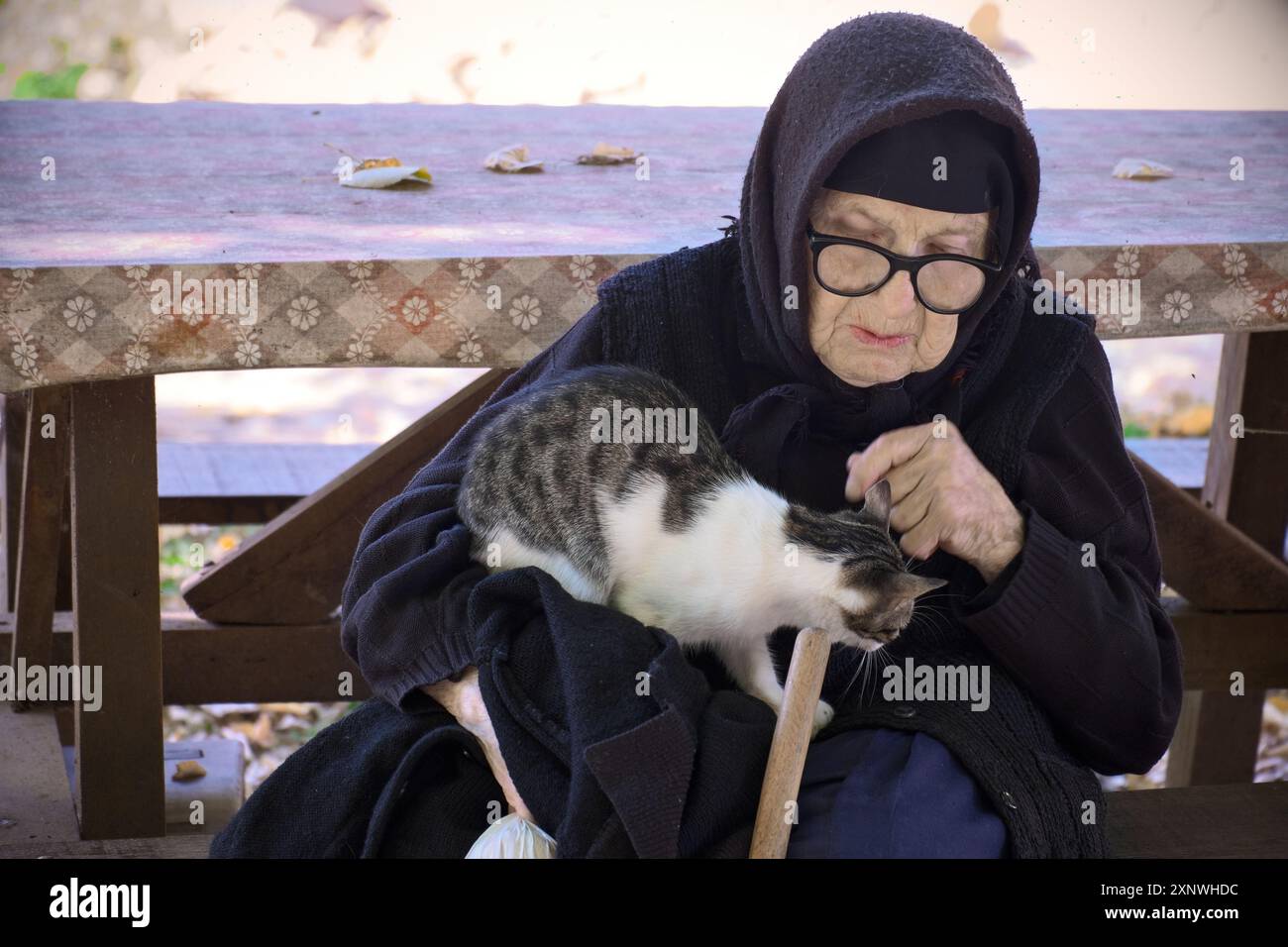 Porträt eine hundertjährige Frau, die eine Katze streichelt, Kloster Vracevsnica, Gornji Milanovac, Zentralserbien Stockfoto