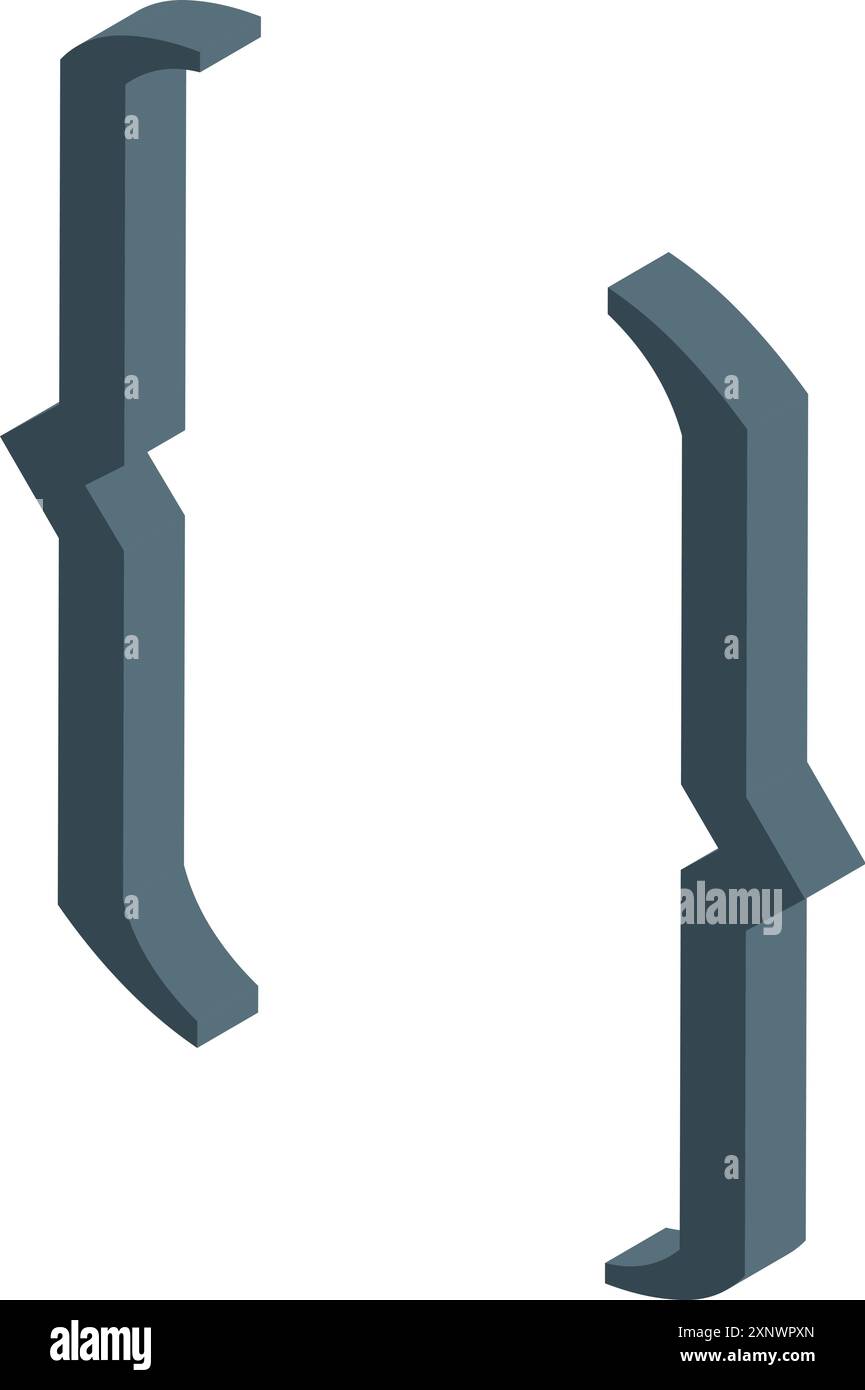 3D-Rendering von zwei geschweiften Klammern, häufig in Computerprogrammiersprachen verwendet Stock Vektor