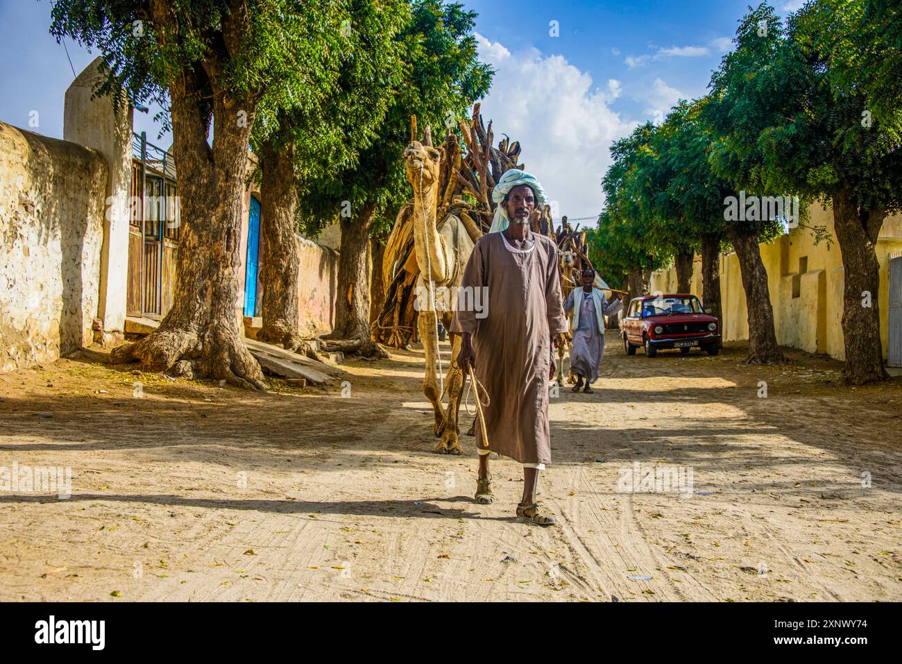 Kamelkarawane mit Brennholz durch Keren, Eritrea, Afrika Copyright: MichaelxRunkel 1184-11984 nur redaktionelle Verwendung Stockfoto