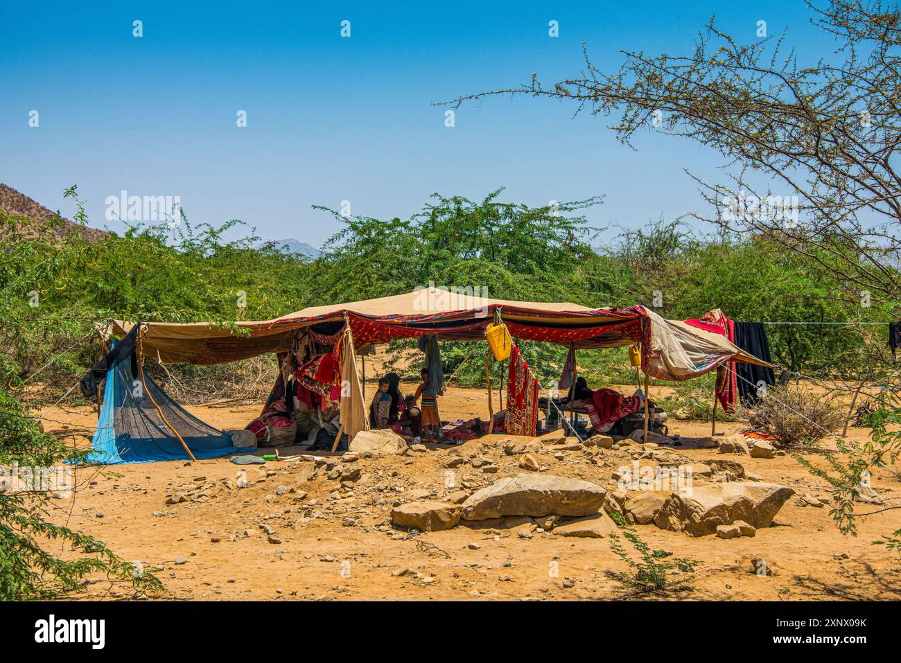 Zelt der Rashaida, ein arabischer Stamm, in der Tiefebene von Eritrea, Afrika Stockfoto