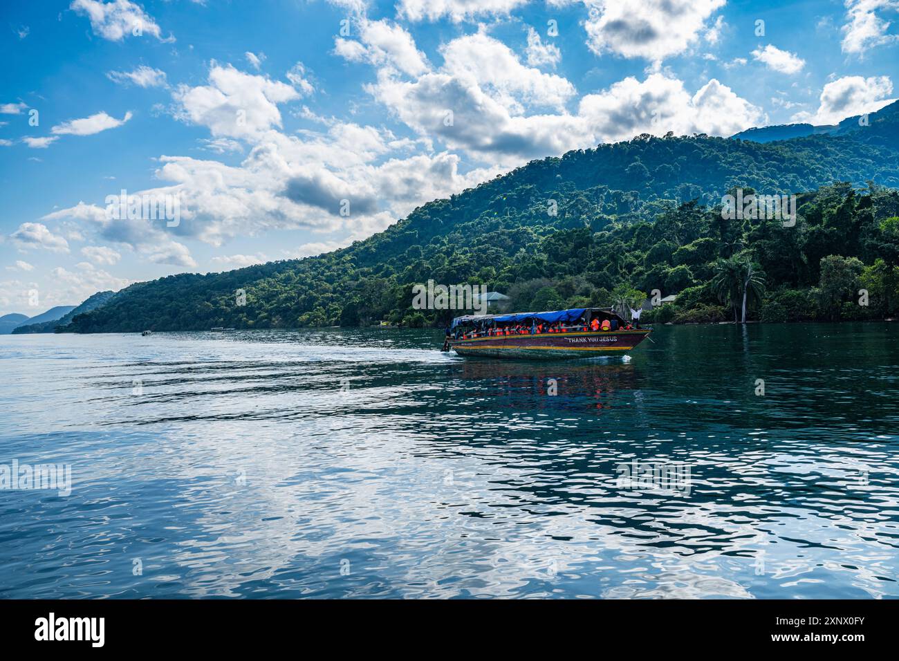 Regenwald im Gombe Stream Nationalpark, Tanganjikasee, Tansania, Ostafrika, Afrika Stockfoto