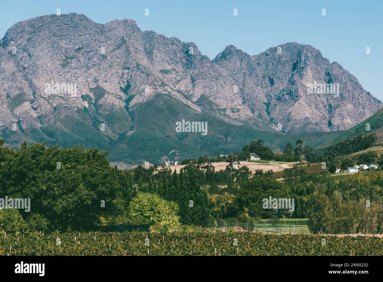 Wanderwege durch Blumen und Tiere im Mont Rochelle Nature Reserve mit Blick auf das Franschhoek Valley und Franschhoek, Westkap Stockfoto