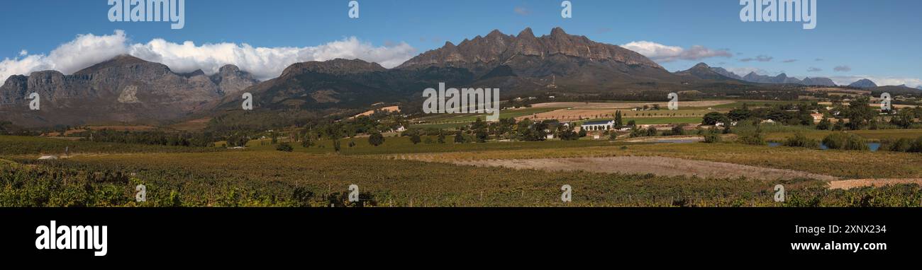 Panoramablick auf Weinberge und Berge in der Nähe von Wellington, Western Cape Winelands, eine 45-minütige Fahrt von Kapstadt, Western Cape, Südafrika Stockfoto