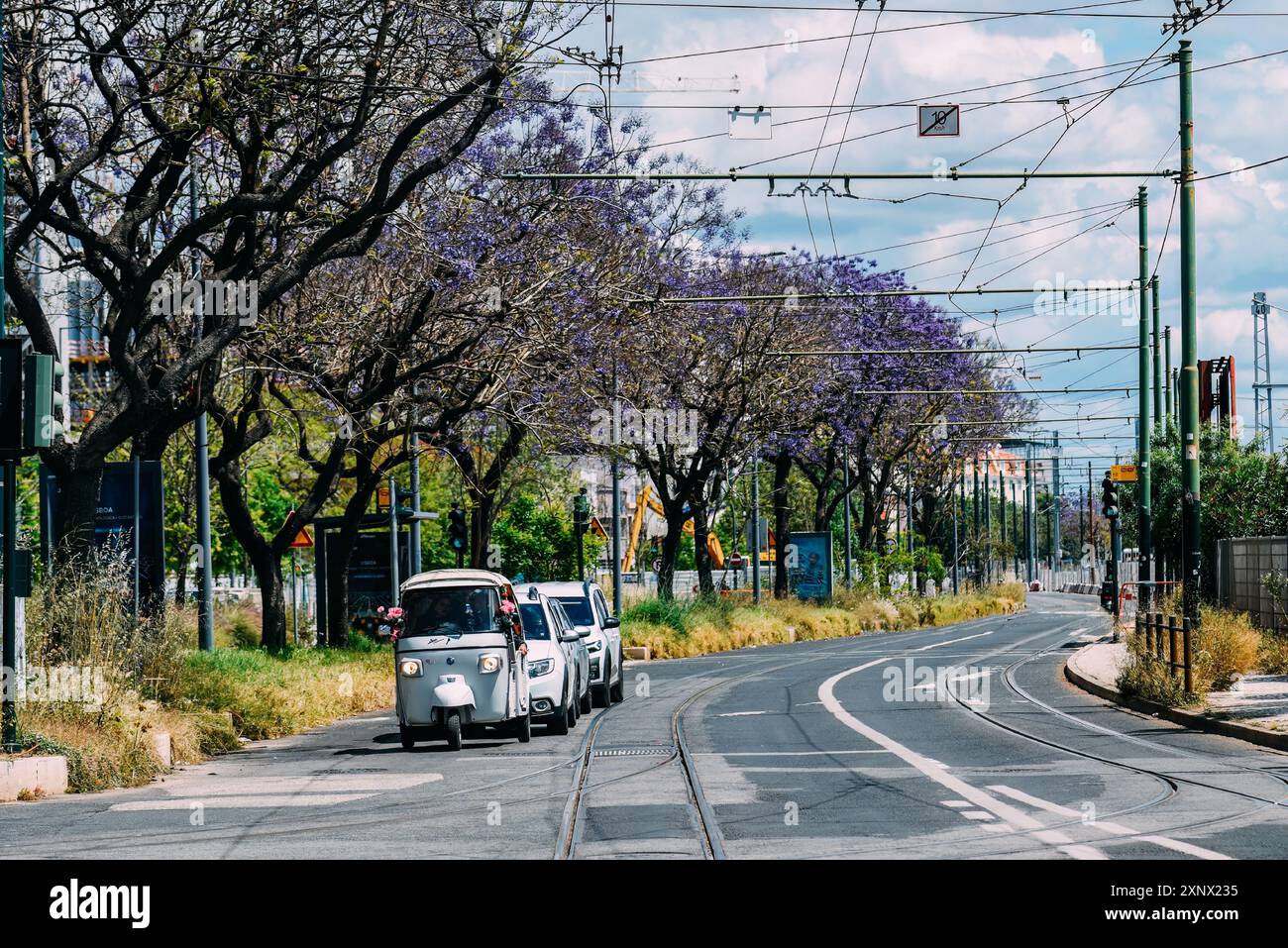 Ein weißes Tuktuk, das entlang eines sonnendurchfluteten Boulevards in Lissabon fährt, gesäumt von blühenden lila Jacaranda-Bäumen, mit Straßenbahnschienen auf der Straße, Lissabon, Portugal Stockfoto