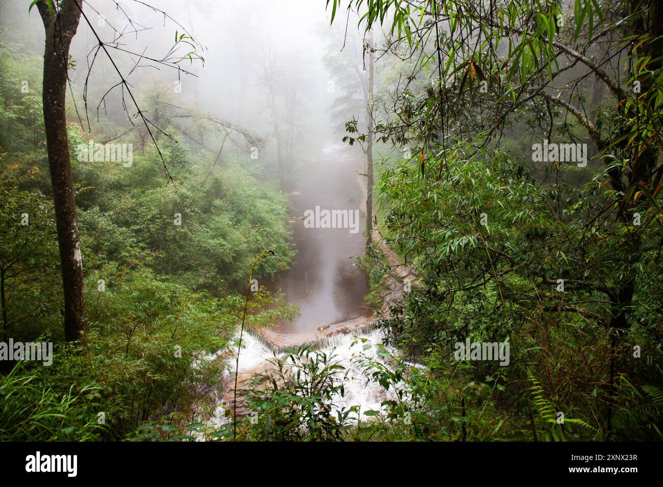 Tinh Yeu (Love Waterfall) im Dschungel bei Sa Pa (Sapa), Provinz Lao Cai, Vietnam, Indochina, Südostasien, Asien Stockfoto