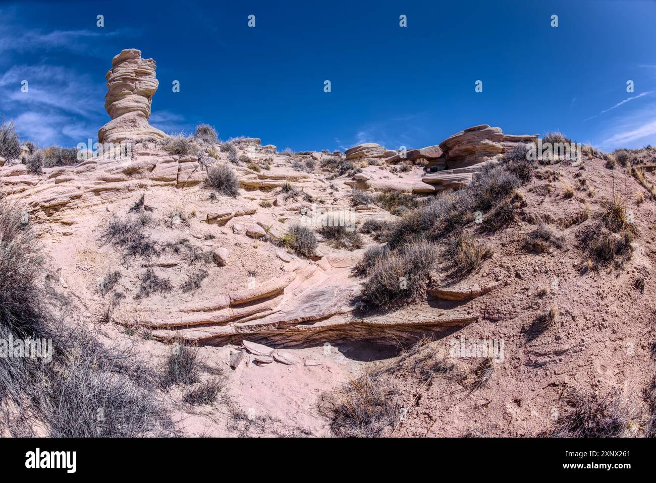 Ein trockener Wasserfall auf der Westseite des Hamilili Point, neben einem Hoodoo am südlichen Ende des Petrified Forest National Park, Arizona Stockfoto