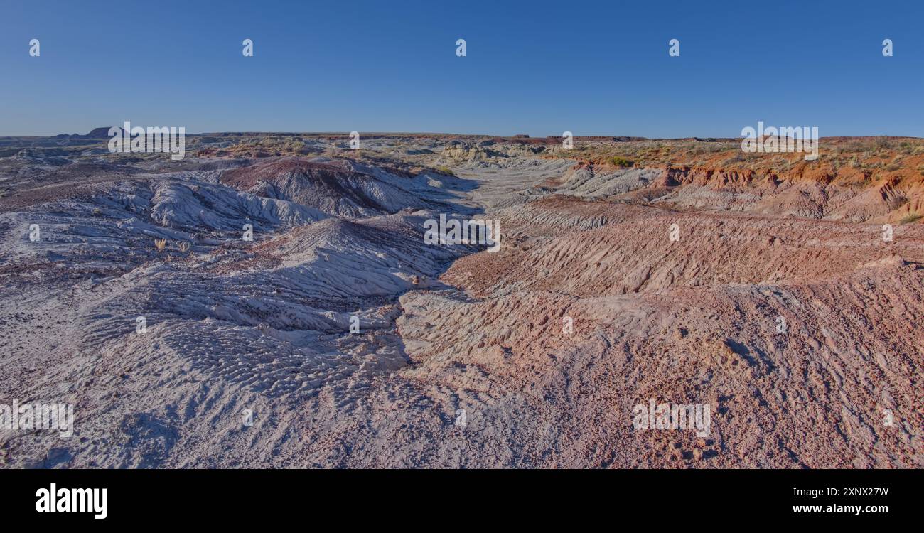 Goblin Garden westlich von Hamilili Point im Petrified Forest National Park, Arizona, USA, Nordamerika Stockfoto