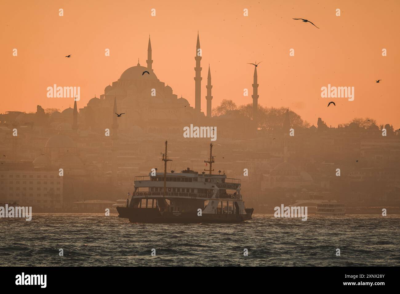 Ein Boot in der Bosporus- und Suleymaniye-Camii-Moschee, Istanbul, Türkei, Europa Stockfoto