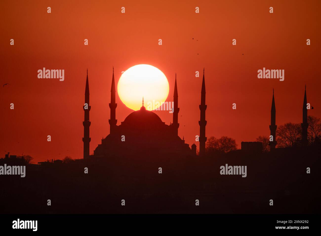 Sonne perfekt ausgerichtet bei Sonnenuntergang auf der Kuppel der Sultanahmet-Camii-Moschee, UNESCO-Weltkulturerbe, Istanbul, Türkei, Europa Stockfoto