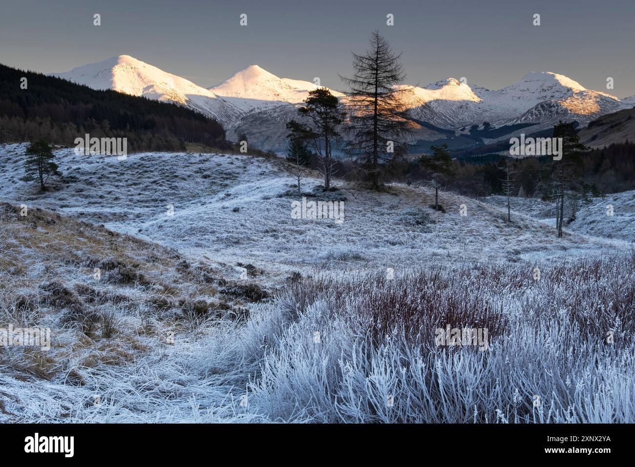 Letztes Licht auf Ben More und den Crianlarich Hills im Winter, Loch Lomond und Trossachs National Park, Scottish Highlands, Schottland, Großbritannien Stockfoto