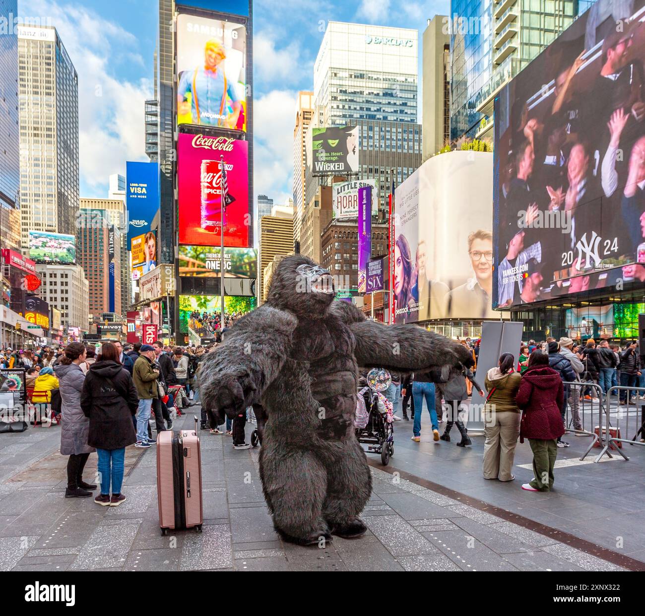 Der Times Square Gorilla unterhält die Menschenmassen am Times Square, Midtown Manhattan, New York City, den Vereinigten Staaten von Amerika und Nordamerika Stockfoto
