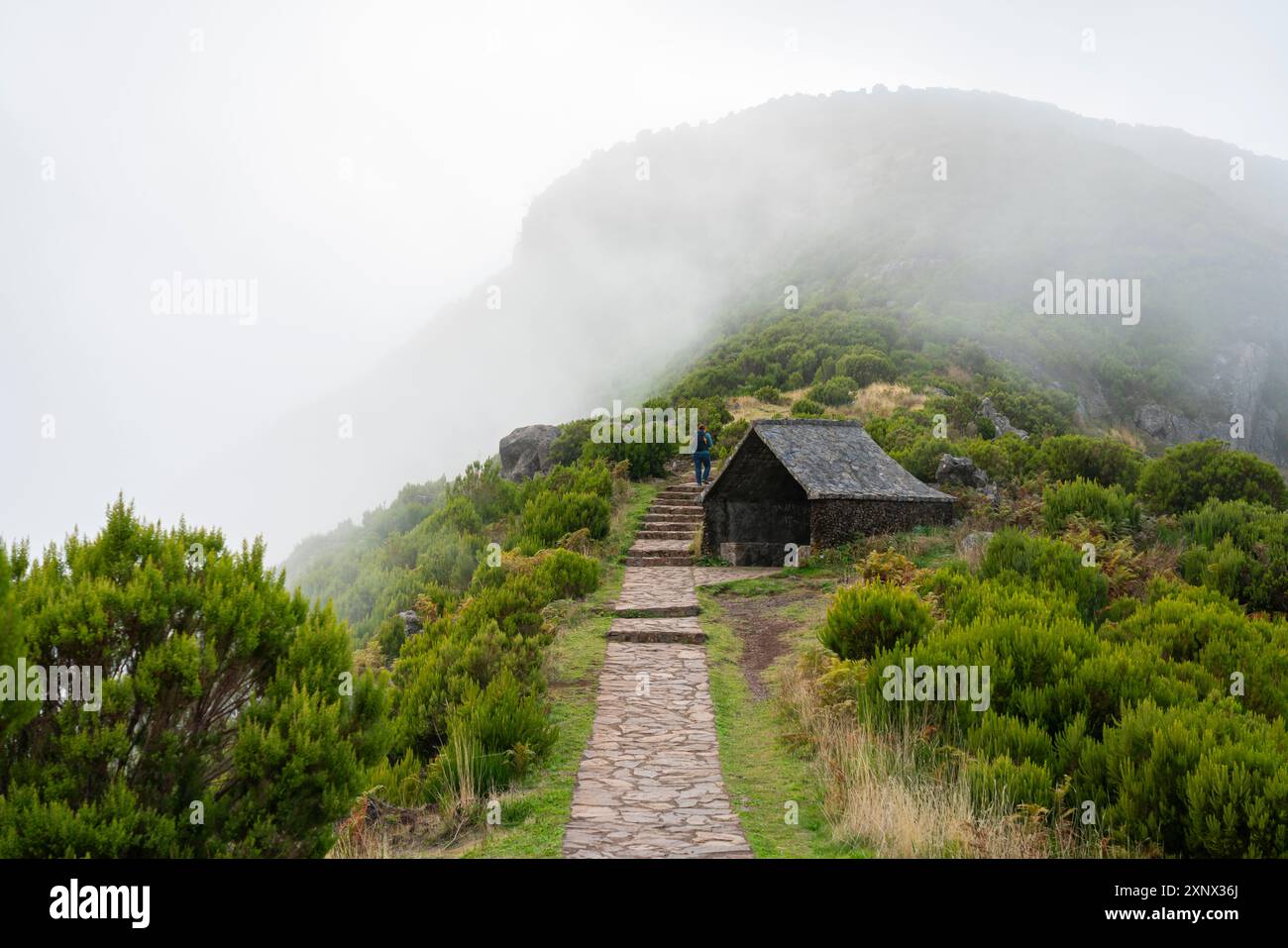 Frau Trekking auf dem Weg zum Pico Ruivo bei Nebel, Santana, Madeira, Portugal, Atlantik, Europa Stockfoto