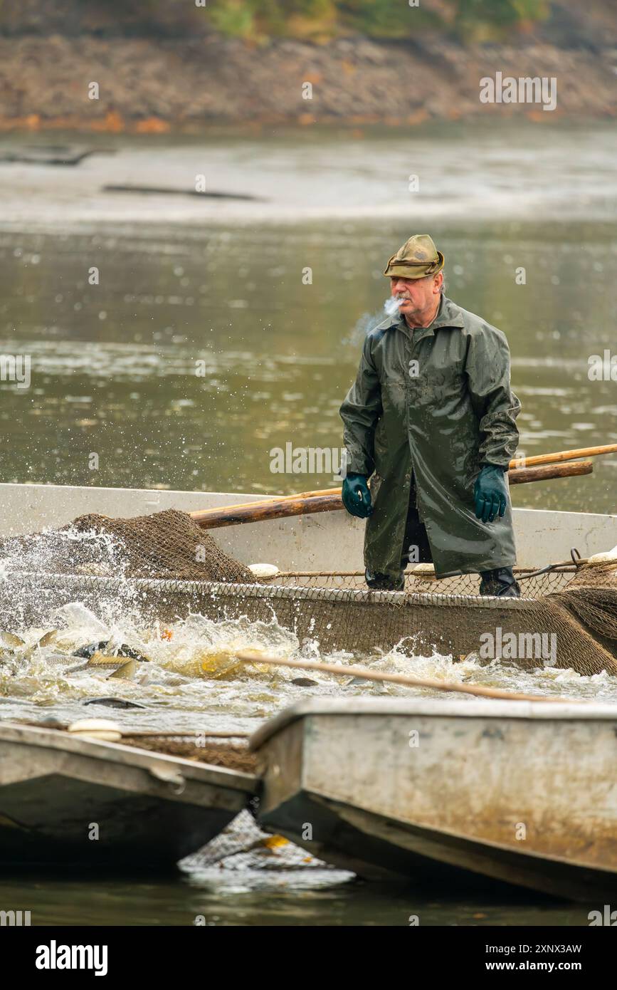 Fischer rauchen auf dem Boot während der Fischernte, Rozmberk Teich, UNESCO Biosphäre, Trebon, Jindrichuv Hradec Bezirk, Südböhmische Region Stockfoto