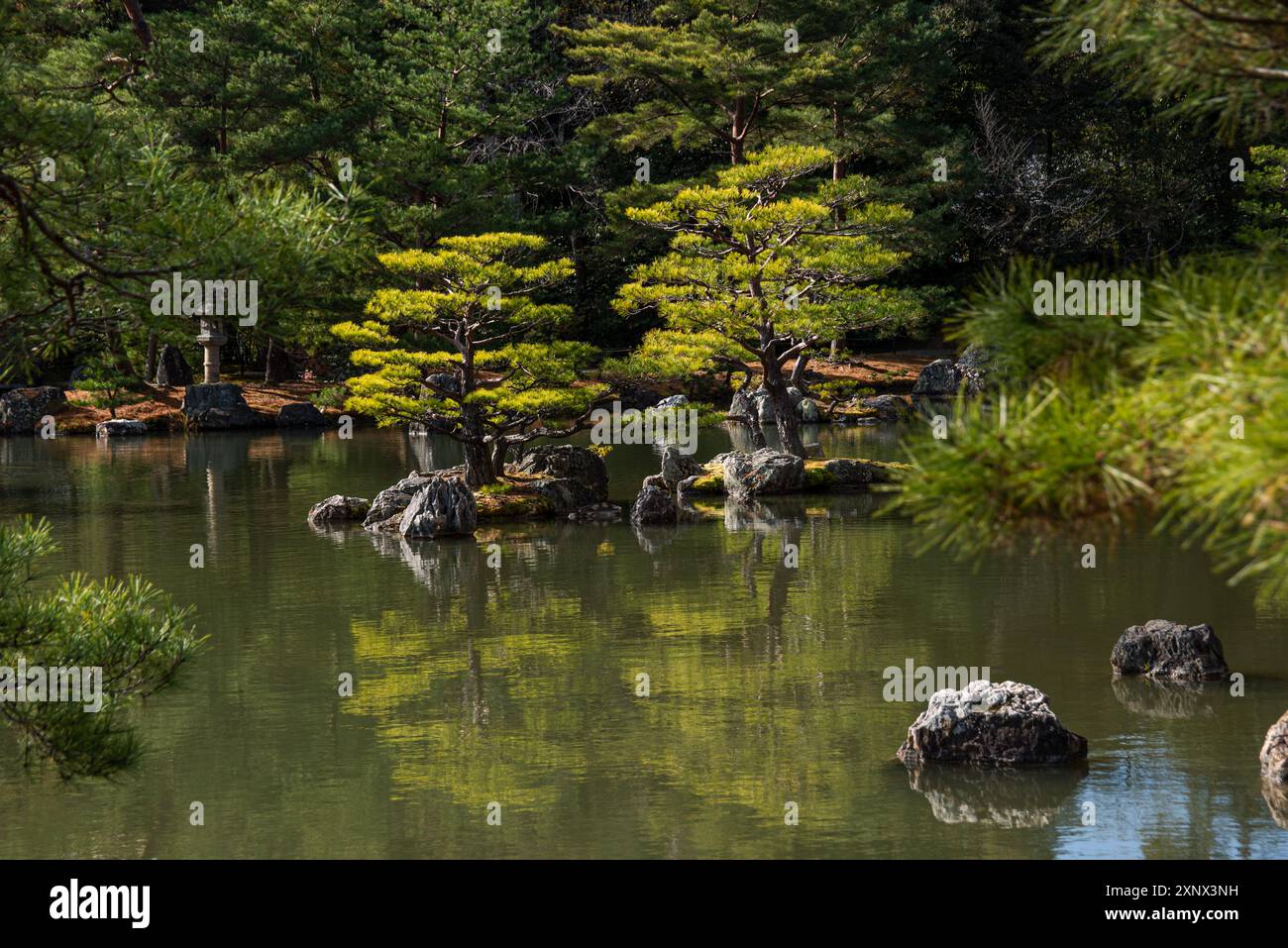 Japanischer Zen-Garten-See Kinkaku-JI (Tempel des Goldenen Pavillons), UNESCO-Weltkulturerbe, Kyoto, Honshu, Japan, Asien Stockfoto