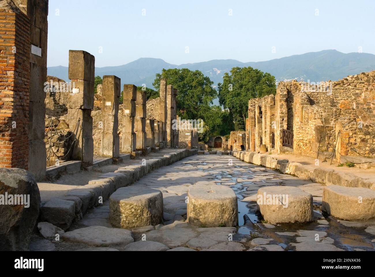 Steinen über das ständig fließende Wasser mussten die Straße überqueren und den Weg frei halten für Karren, archäologische Stätte von Pompeji, UNESCO, Provinz Neapel, Kampanien, Italien Stockfoto