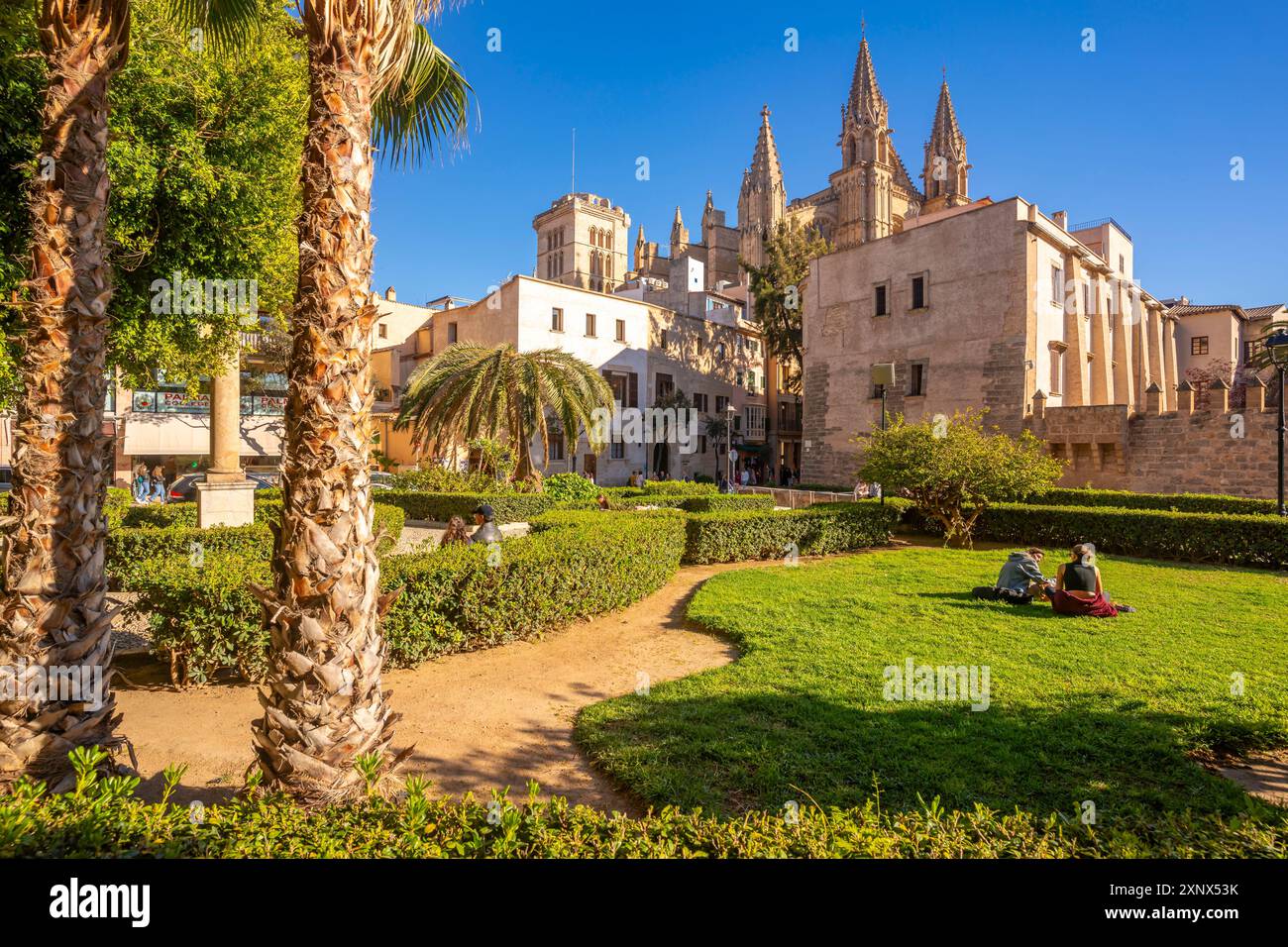 Blick auf die Kathedrale Santa Maria de Mallorca vom Seo Garden, Palma de Mallorca, Mallorca, Balearen, Spanien, Mittelmeerraum, Europa Stockfoto