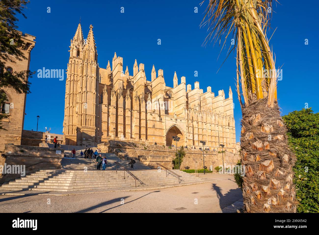 Blick auf die Kathedrale Santa Maria de Mallorca, Palma de Mallorca, Mallorca, Balearen, Spanien, Mittelmeerraum, Europa Stockfoto