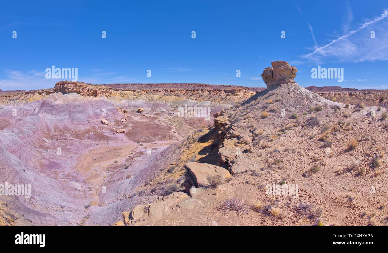 Ein einsamer Hoodoo-Felsen am Rand eines Berges mit Blick auf den Jim Camp Wash am südlichen Ende des Petrified Forest National Park, Arizona, USA Stockfoto