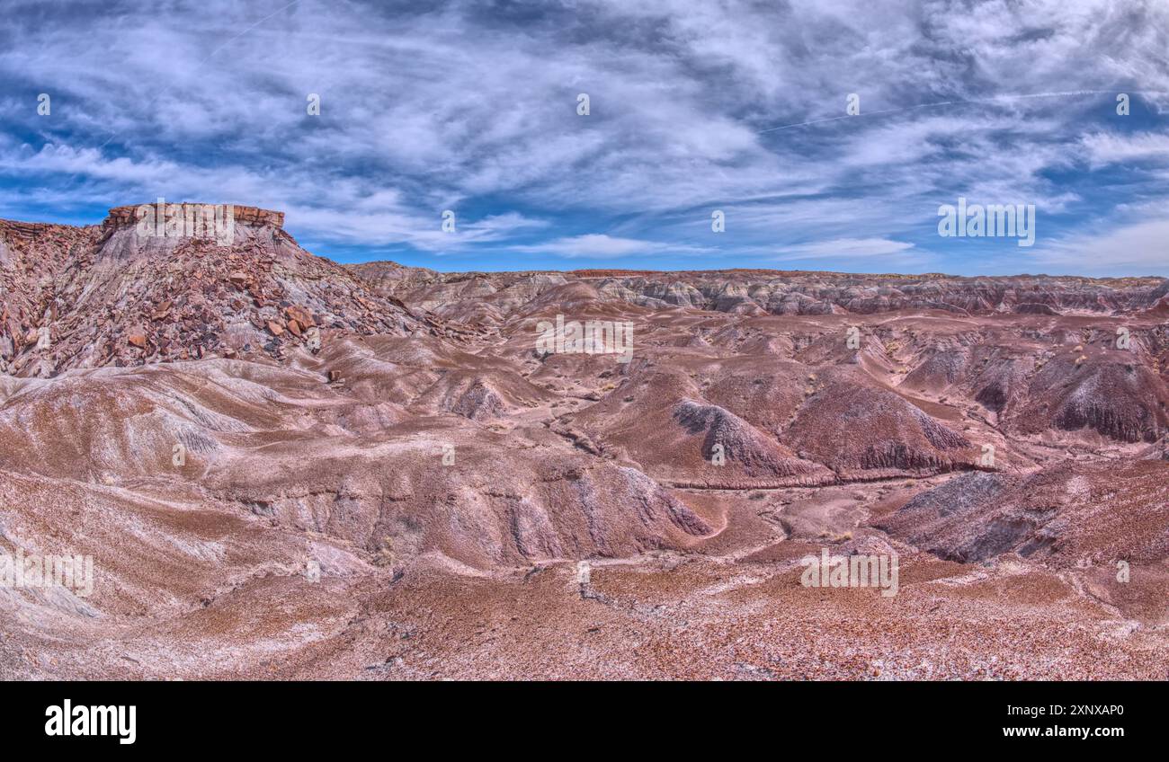 Violette Hügel aus vulkanischem Bentonit nahe Hamilili Point am südlichen Ende des Petrified Forest National Park, Arizona, Vereinigte Staaten von Amerika, North am Stockfoto