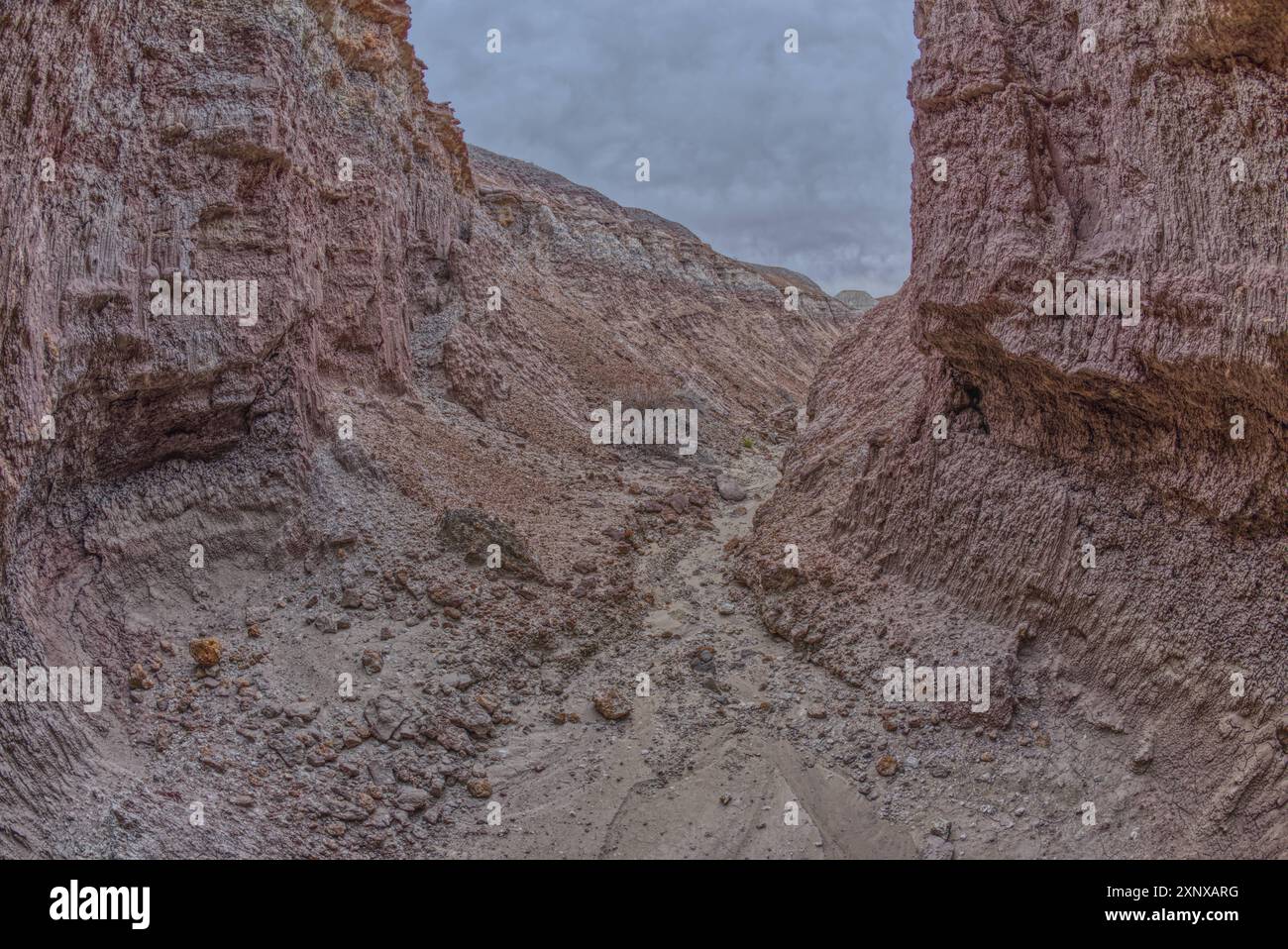 Eine schmale Schlucht aus Bentonit am südlichen Ende des Petrified Forest National Park, Arizona, USA, Nordamerika Copyright: Stev Stockfoto