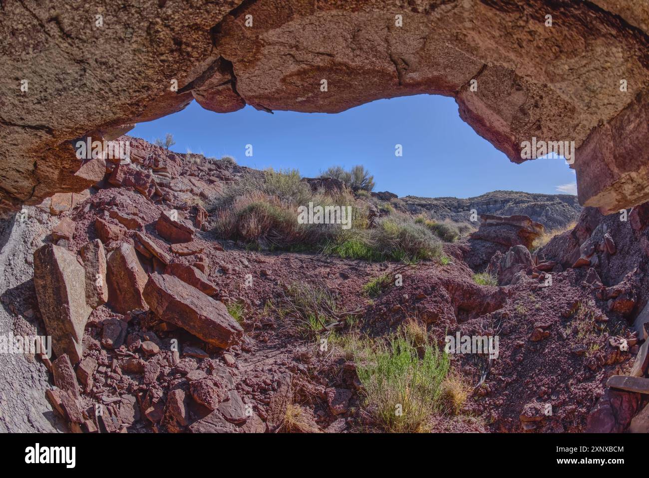 Eine Klippenhöhle unterhalb von Crystal Mesa westlich von Hamilili Point im Petrified Forest National Park, Arizona, Vereinigte Staaten von Amerika, Nordamerika Copyright: Stockfoto