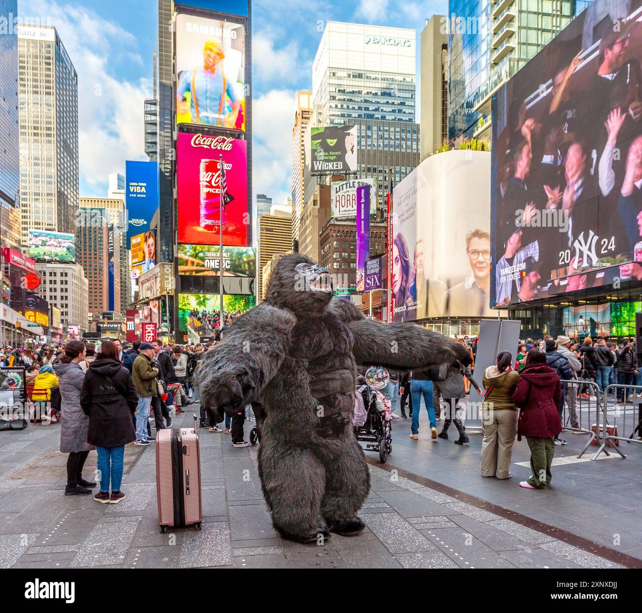 Der Times Square Gorilla unterhält die Menschenmassen am Times Square, Midtown Manhattan, New York City, USA, Nordamerika Copyright: Stockfoto