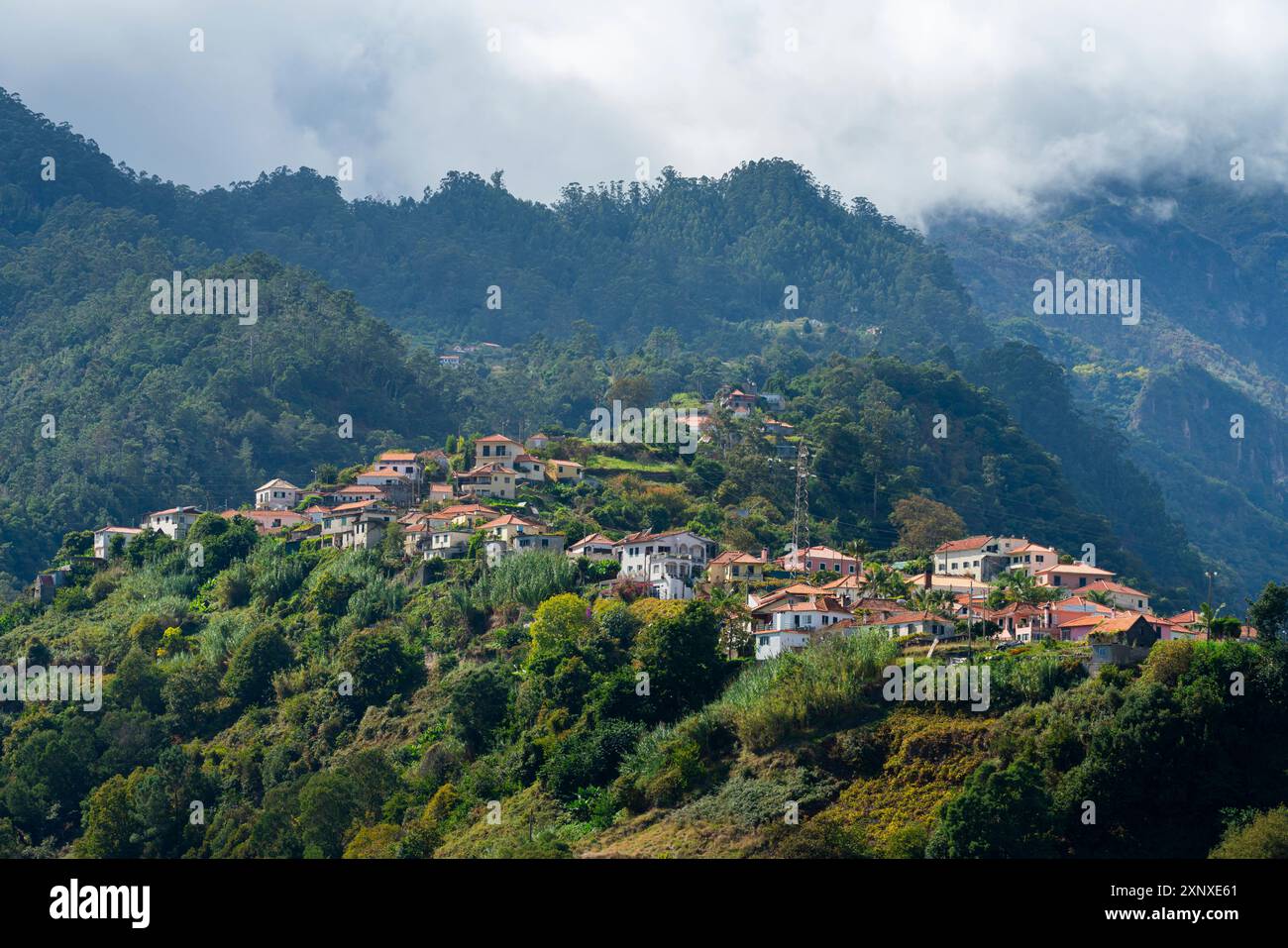 Häuser am Hang in Sao Roque do Faial in den Bergen, Santana, Madeira, Portugal, Atlantik, Europa Copyright: JanxMiracky 1359-1099 Stockfoto