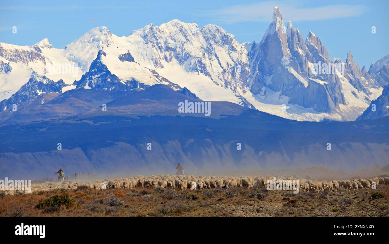 Gauchos, die Rinder vor dem Fitz Roy-Massiv in Argentinien treiben Stockfoto