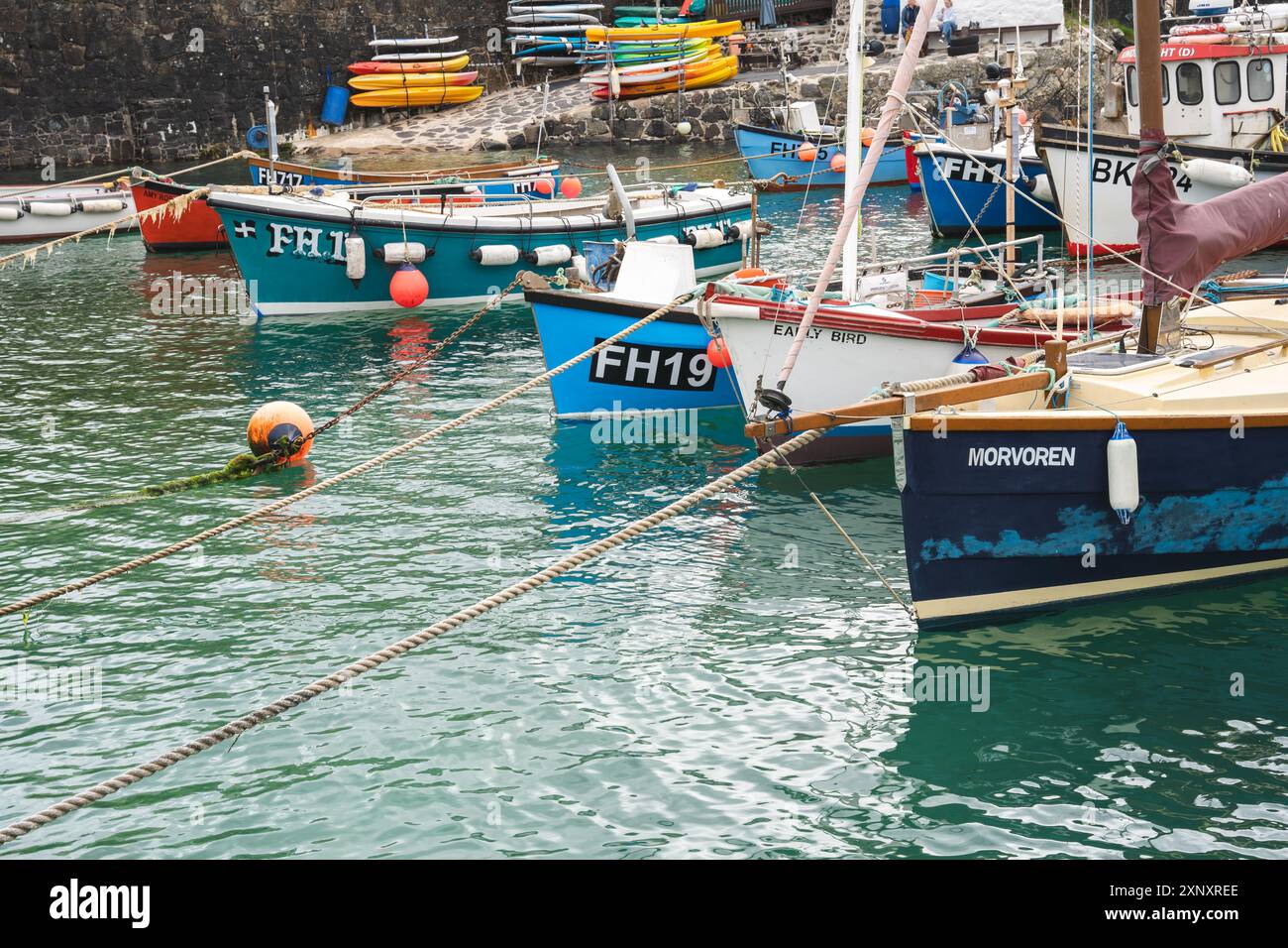 COVERACK, CORNWALL, GROSSBRITANNIEN - 4. JUNI 2024. Traditionelle kornische Fischerboote liegen im Gezeitenhafen des malerischen Fischerdorfes Coverack Stockfoto