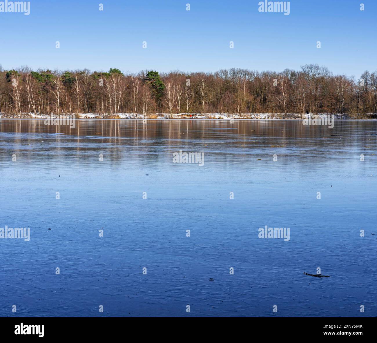 Ein Spaziergang im Naherholungsgebiet Sechs Seen Platte in Duisburg Wedau an einem sonnigen und kalten Wintertag Stockfoto